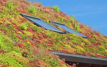 Lower Freystrop living roof systems
