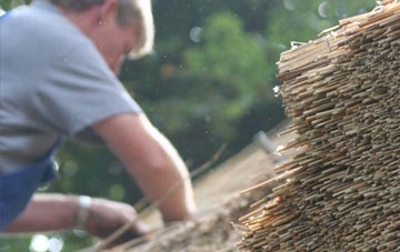 professional Lower Freystrop thatchers